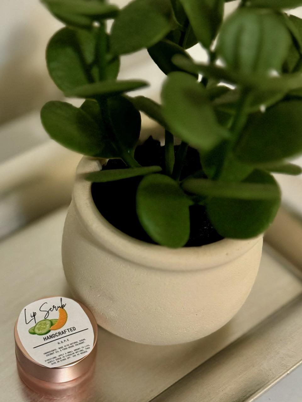 Exfoliating Lip Scrub